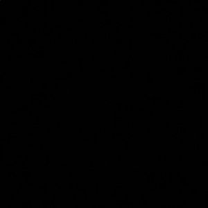 Meet your Posher, Caleb